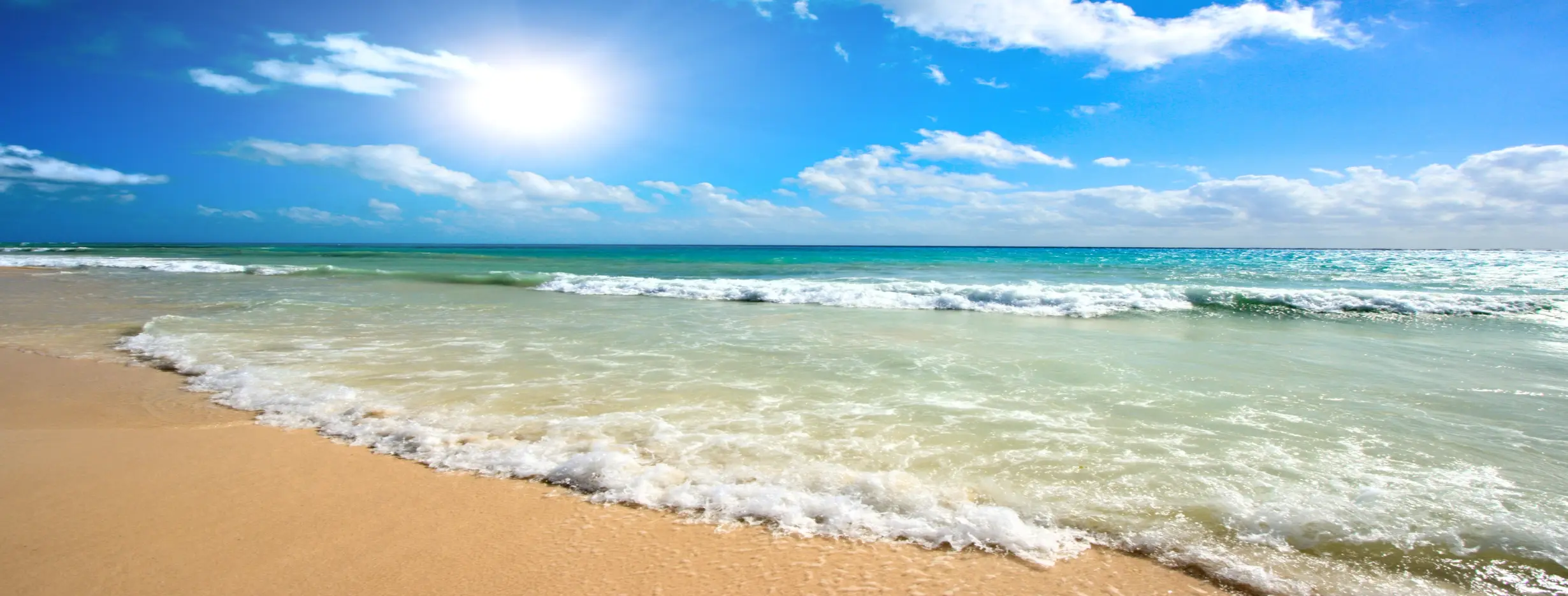 Image for Sunny Beaches